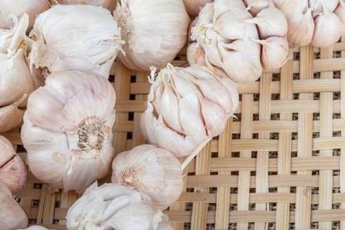 Практичные советы хозяйкам: как хранить чеснок в домашних условиях